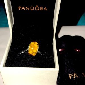 Nice Pandora Charm 
with Velvet Pandora Pouch